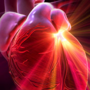 6 Most Common Heart Diseases