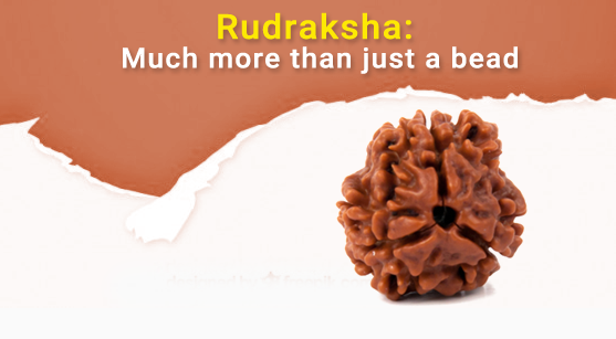 Rudraksha: Much More Than Just A Bead