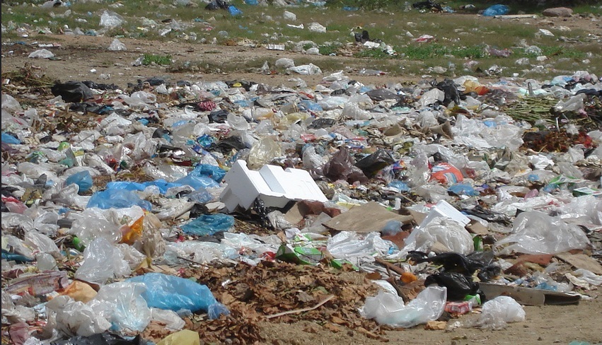 7 Facts That Show Plastic Bags Are More Harmful Than Paper Bags