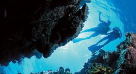 Preparing For Scuba Diving and Water Rafting Activities: A First-timer’s Guide