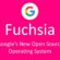Google’s Fuchsia Update: Here Comes The Twist!