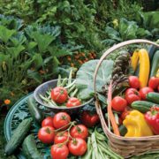 7 Reasons Why This Is The Year To Start A Vegetable Garden